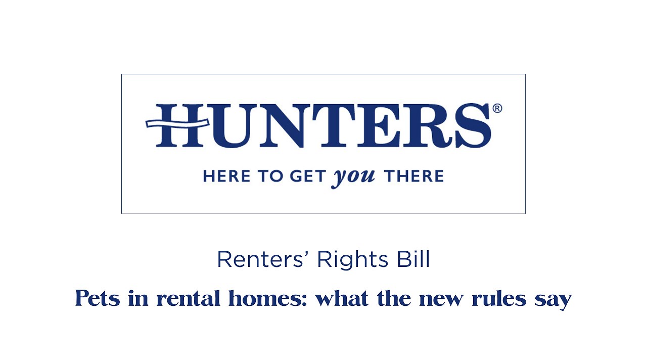 Pets in rental homes: what the new rules say