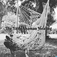 The Little Shaman Healing Podcast ____Narcissism Blog