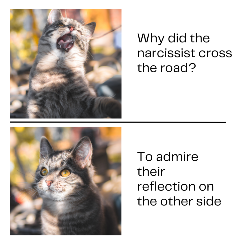 Why did the narcissist cross the road, narcissist memes